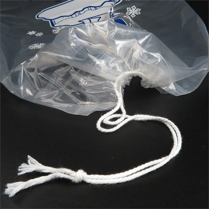 ice packs for shipping food