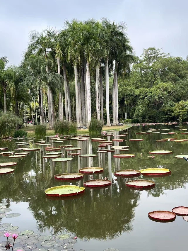 botanical garden botanical garden